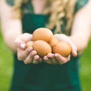 ダイエットに必須のプロテイン補給はどこから摂るのが効果的？